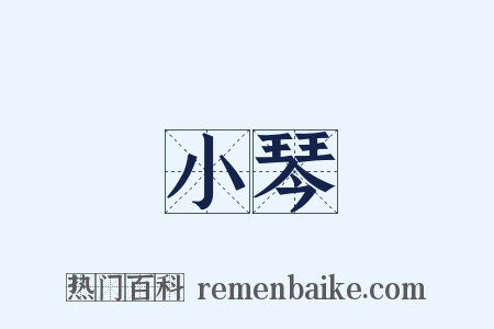 小琴是什么意思的图片